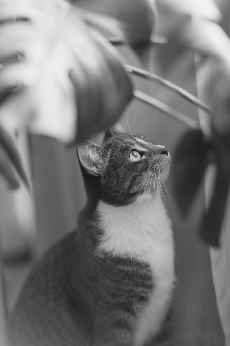 luckylady_2025-KAYLAESPARZAPHOTOGRAPHY-123