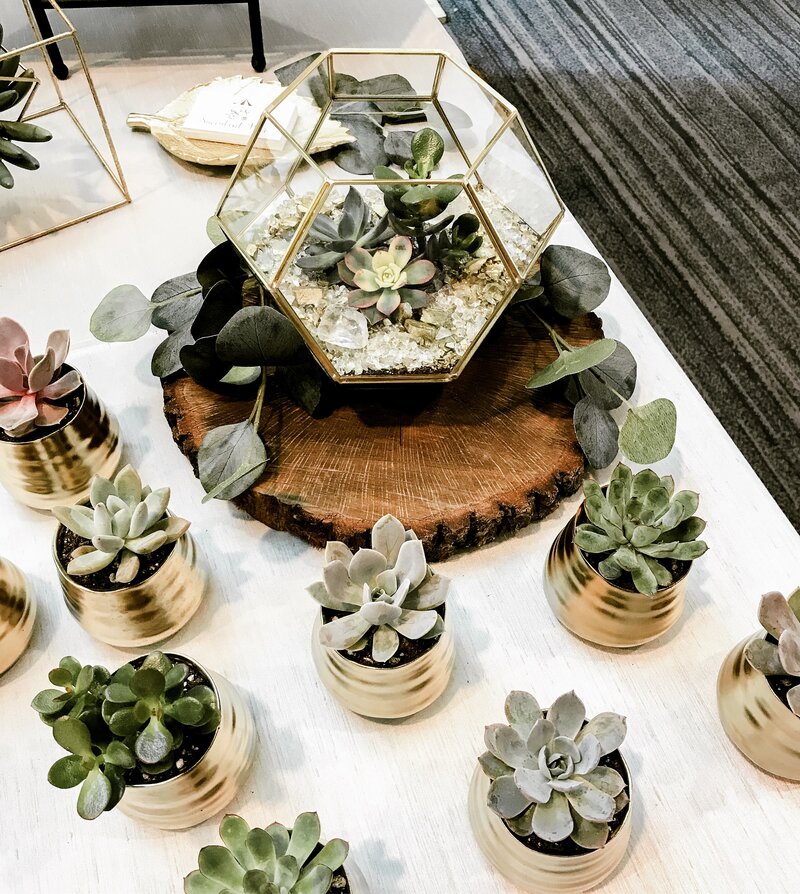 Potted Succulent Favor by Succulent Bar events and gifts