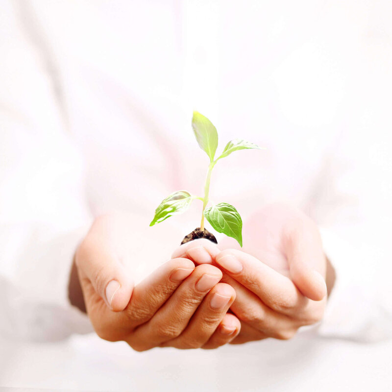 Psychic Reading Near Me - David William