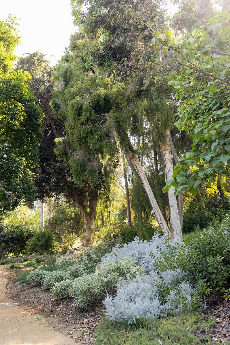westwood-garden-fall-mini-session_0001