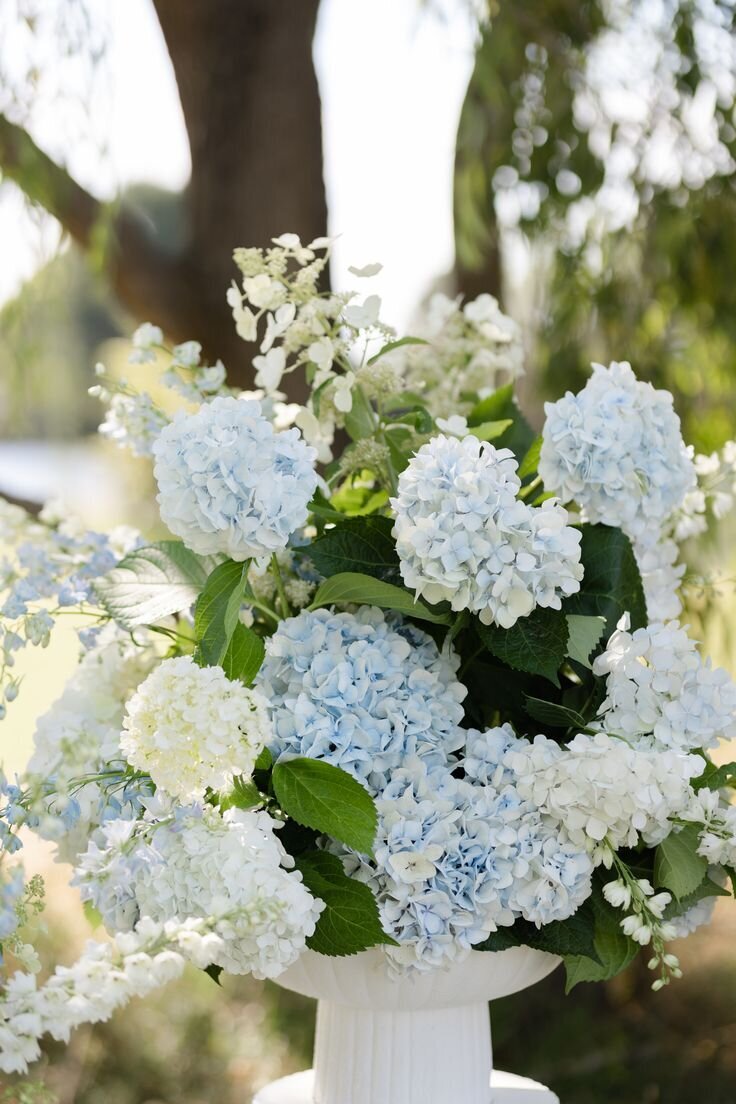 blue florals 3-rori ranch rentals