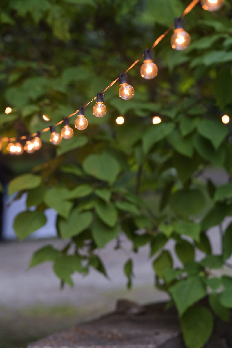 bistro lights strung through greenery