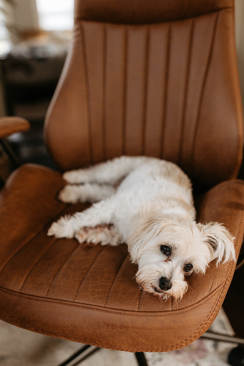 Hardins_Brand_Session_5.24.23-164