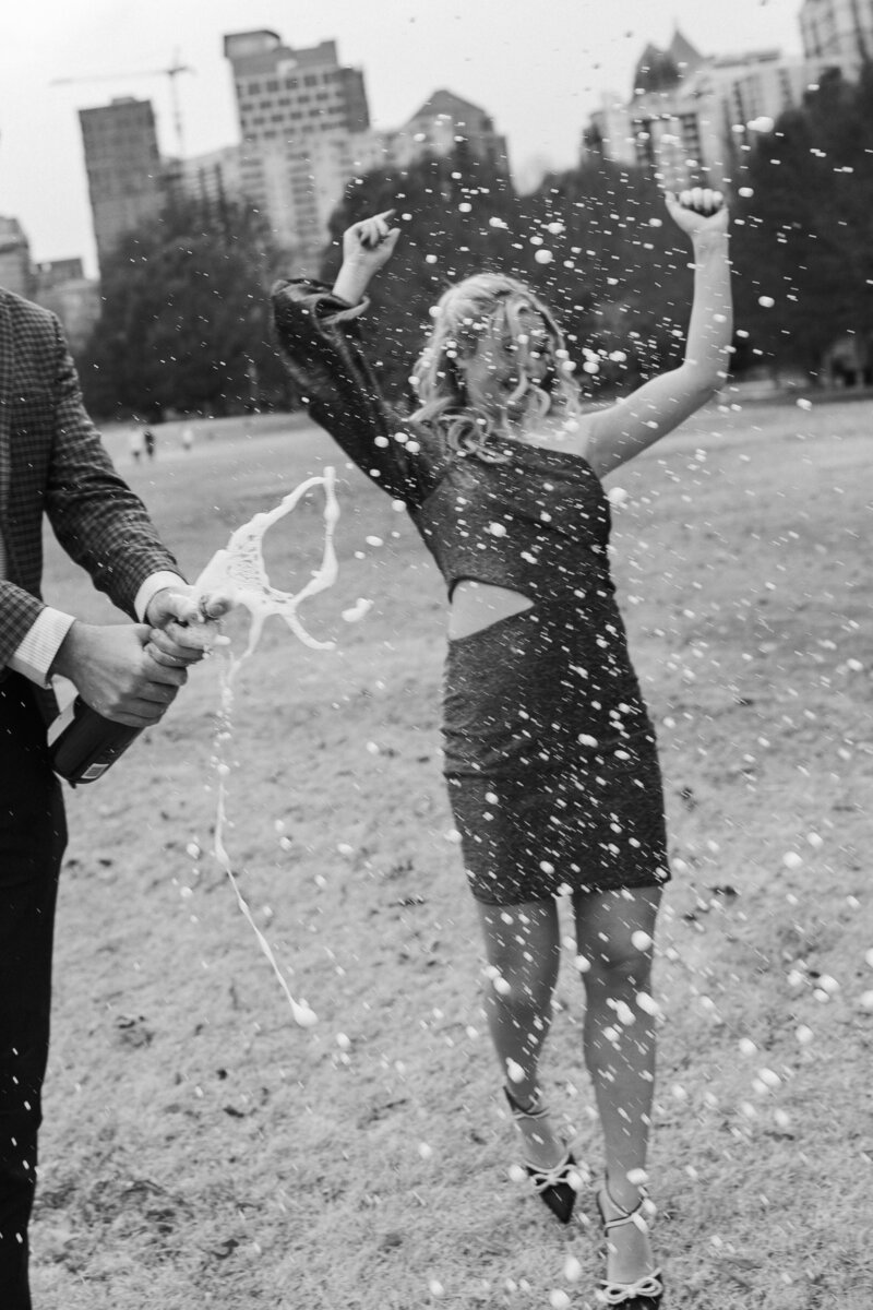 Piedmont Park Proposal 7