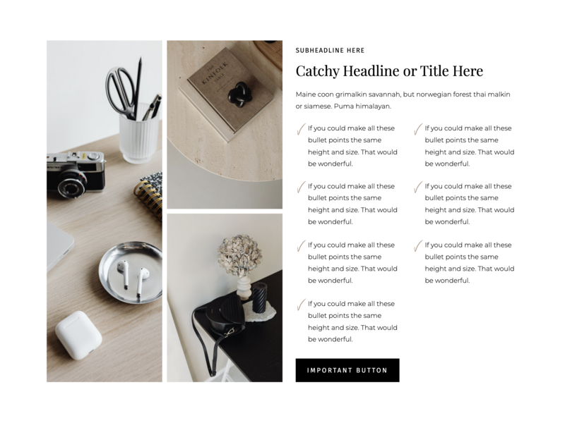 bullet points Canvas for Showit website