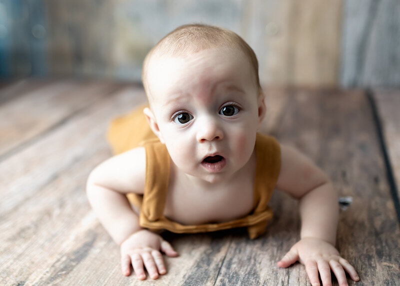 toddler photography session in  Denver colorado Studio with Erin Jachimiak Photography
