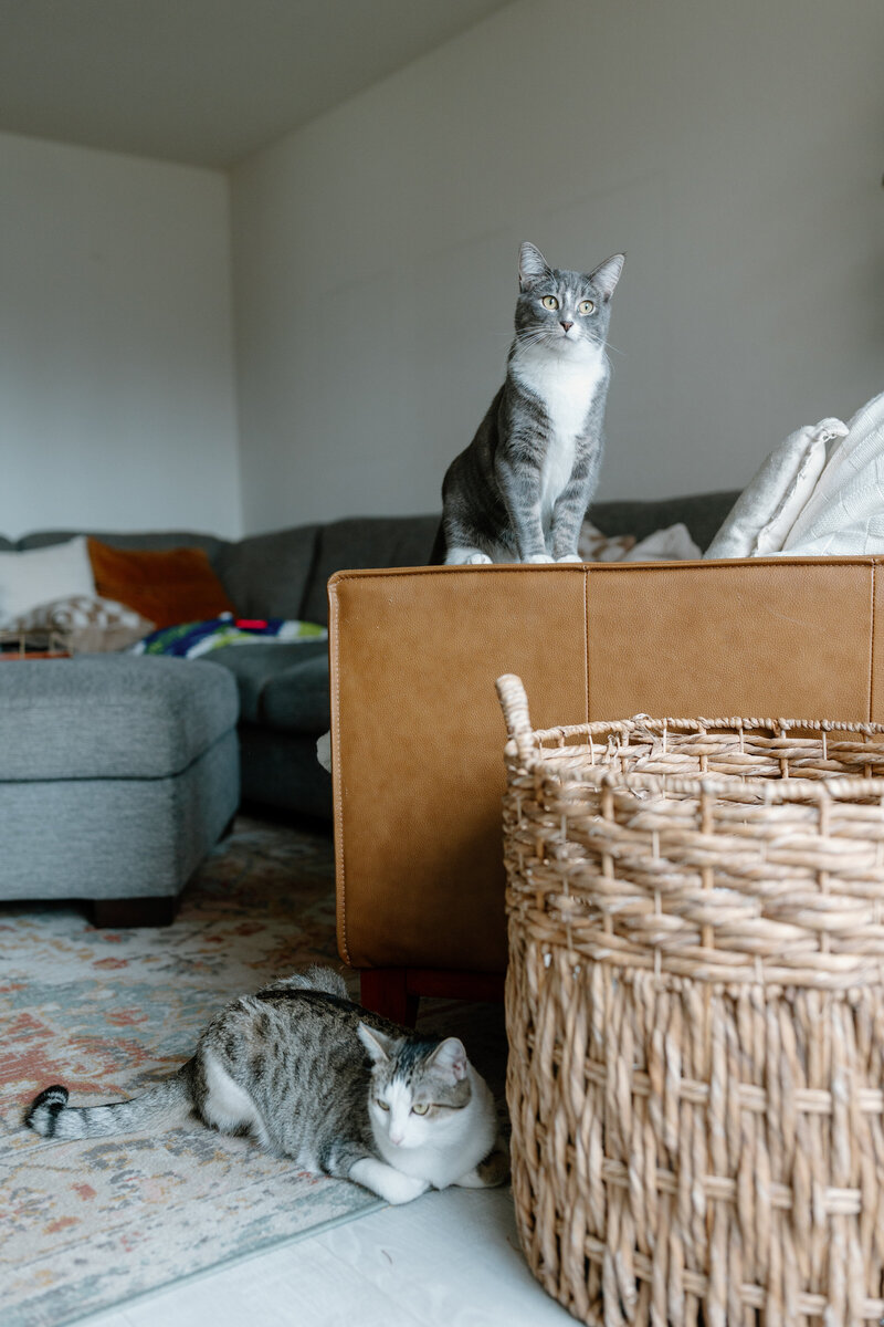 luckylady_2025-KAYLAESPARZAPHOTOGRAPHY-10