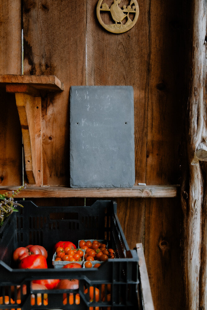 PineandFable_AlmaRootsFarm-8692
