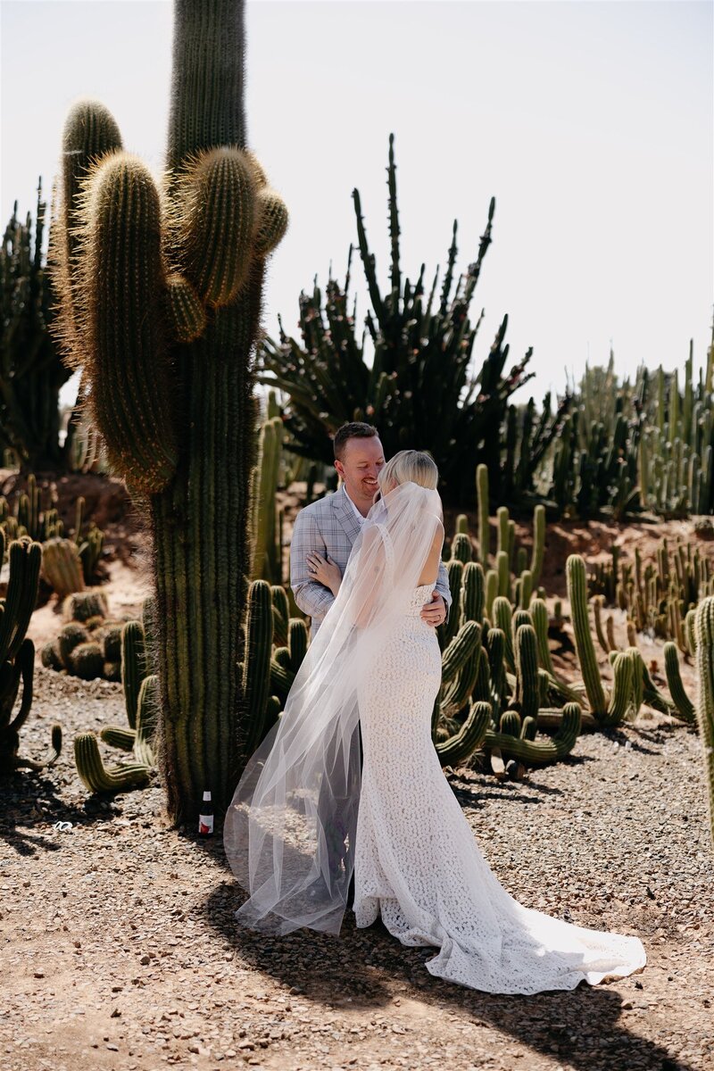 Cactus Country My Scandi Style Wedding