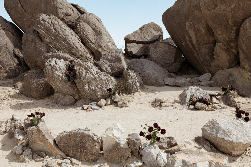 Lindsey + Anthony Joshua Tree Wedding-394