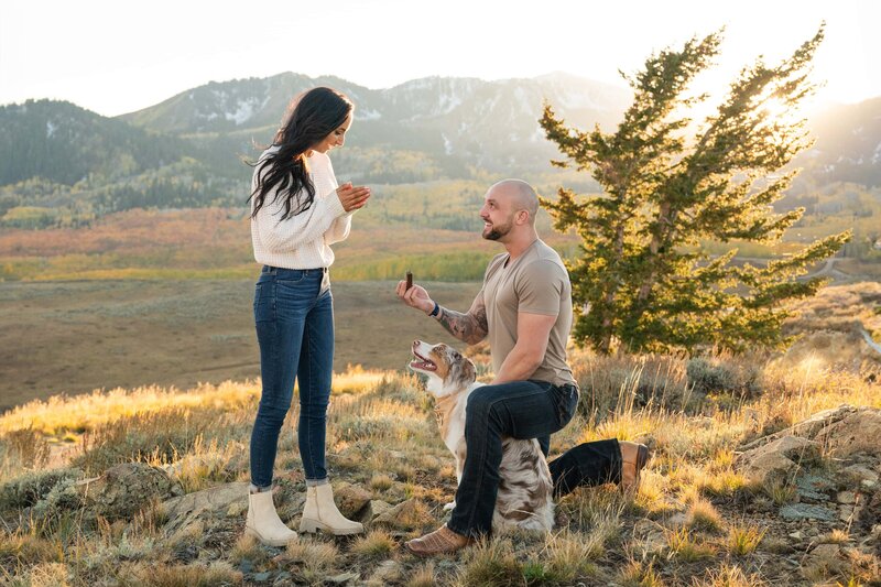 Proposal at the top of Park City surrounded by the mountains. A dog helped with the proposal.
