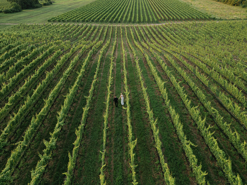 Epic drone photo from above of bride and groom walking through vineyards at sunset 