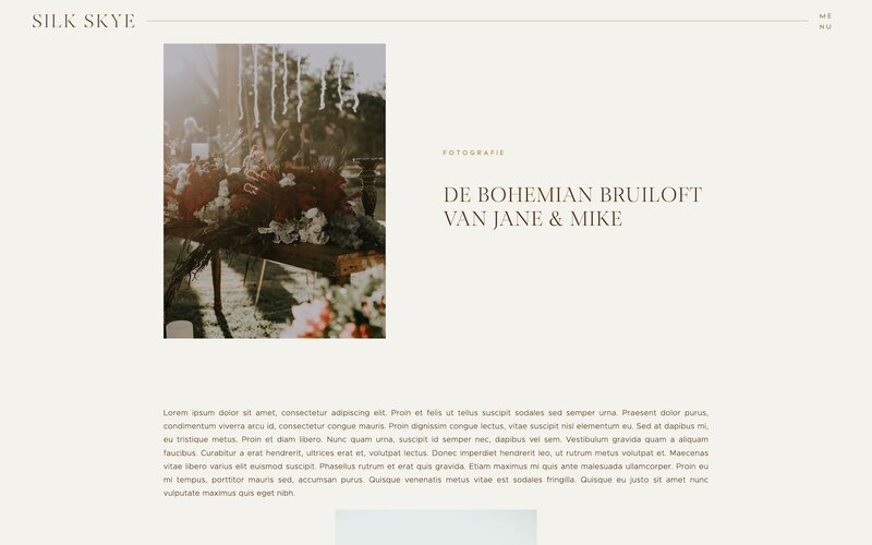 Showit blog voorbeeld