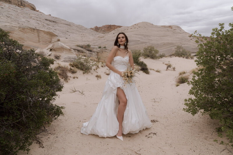 bride posing in desert landscape