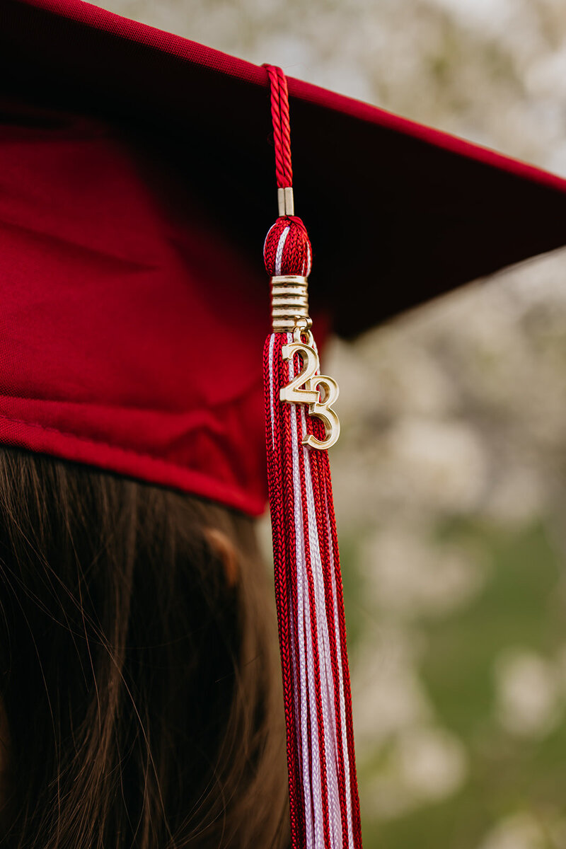 Twin Cities Graduation Photographer (4)