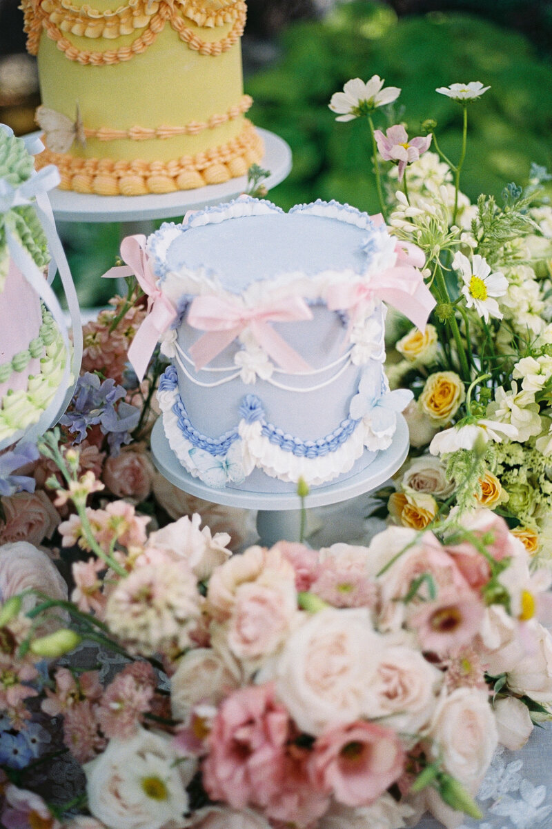 Luxury-Summer-Intimate-Wedding-Strong-Mansion-Frederick-County-Maryland-35mm-Film=12
