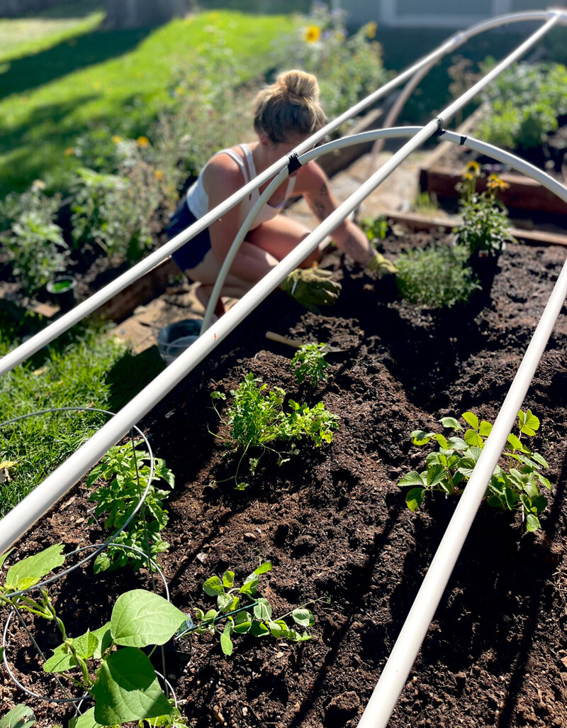 A blonde woman crouches down to tend to a garden bed filled with new plants.