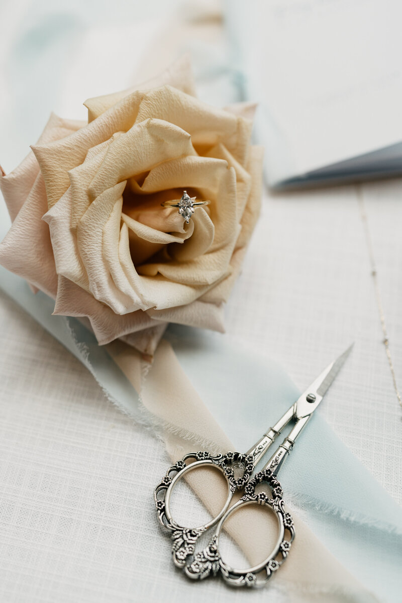 madelynpricephotos-7408174