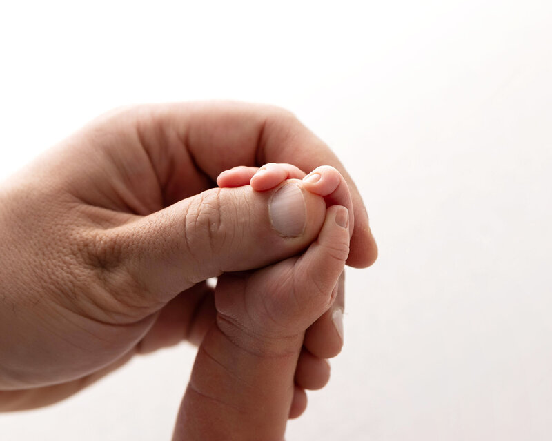 Dad holding sons hand in Pittsburgh portrait studio.