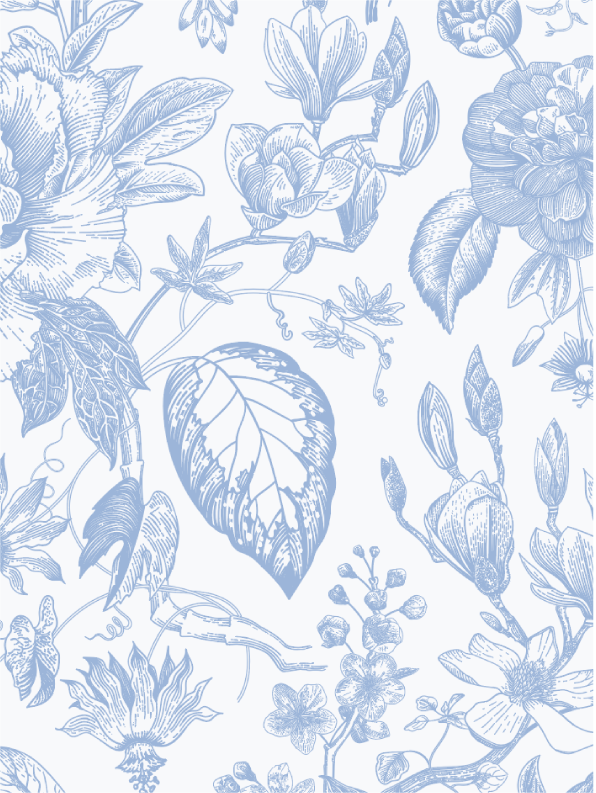 ARP Frame Toile