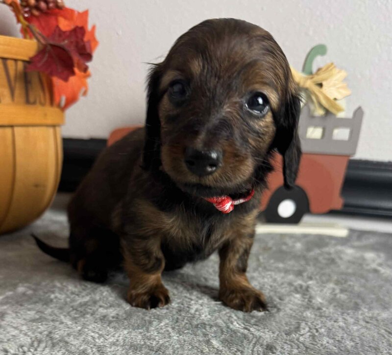 ec42434e-2210-4659-b96b-c2f52b811560