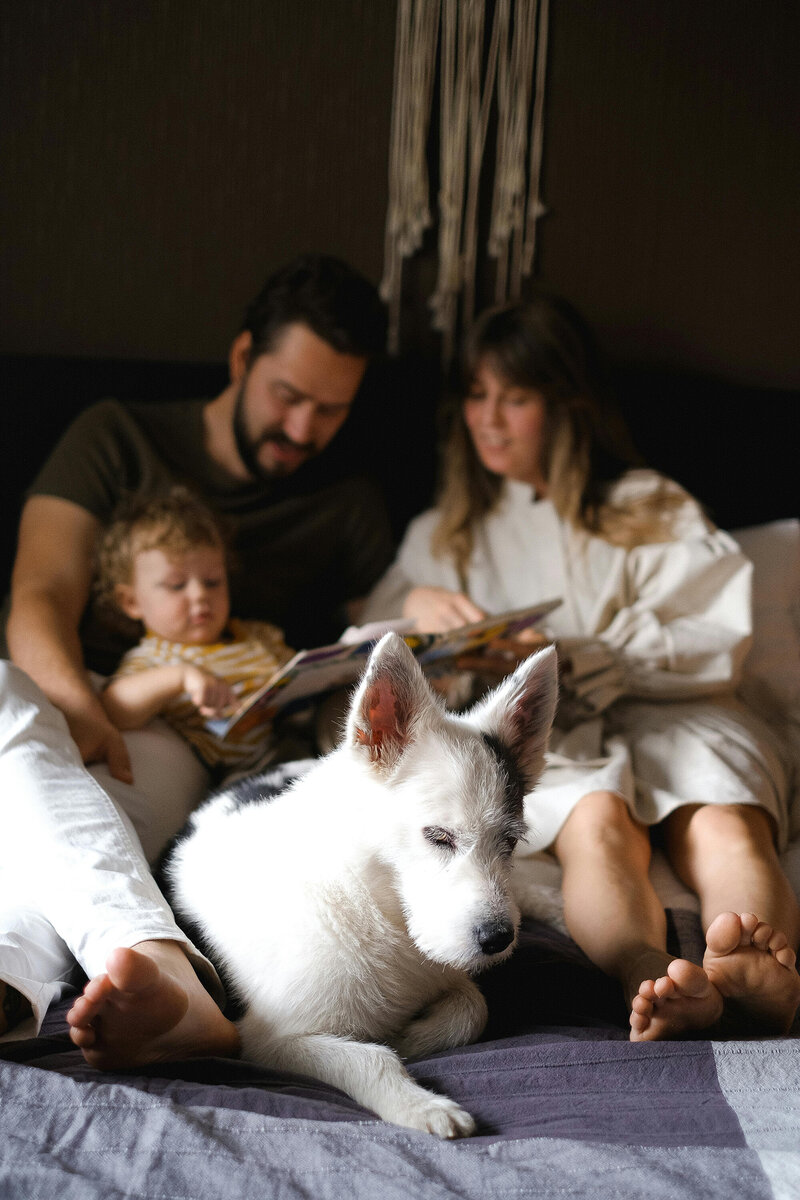 pexels-shvetsa-4586635