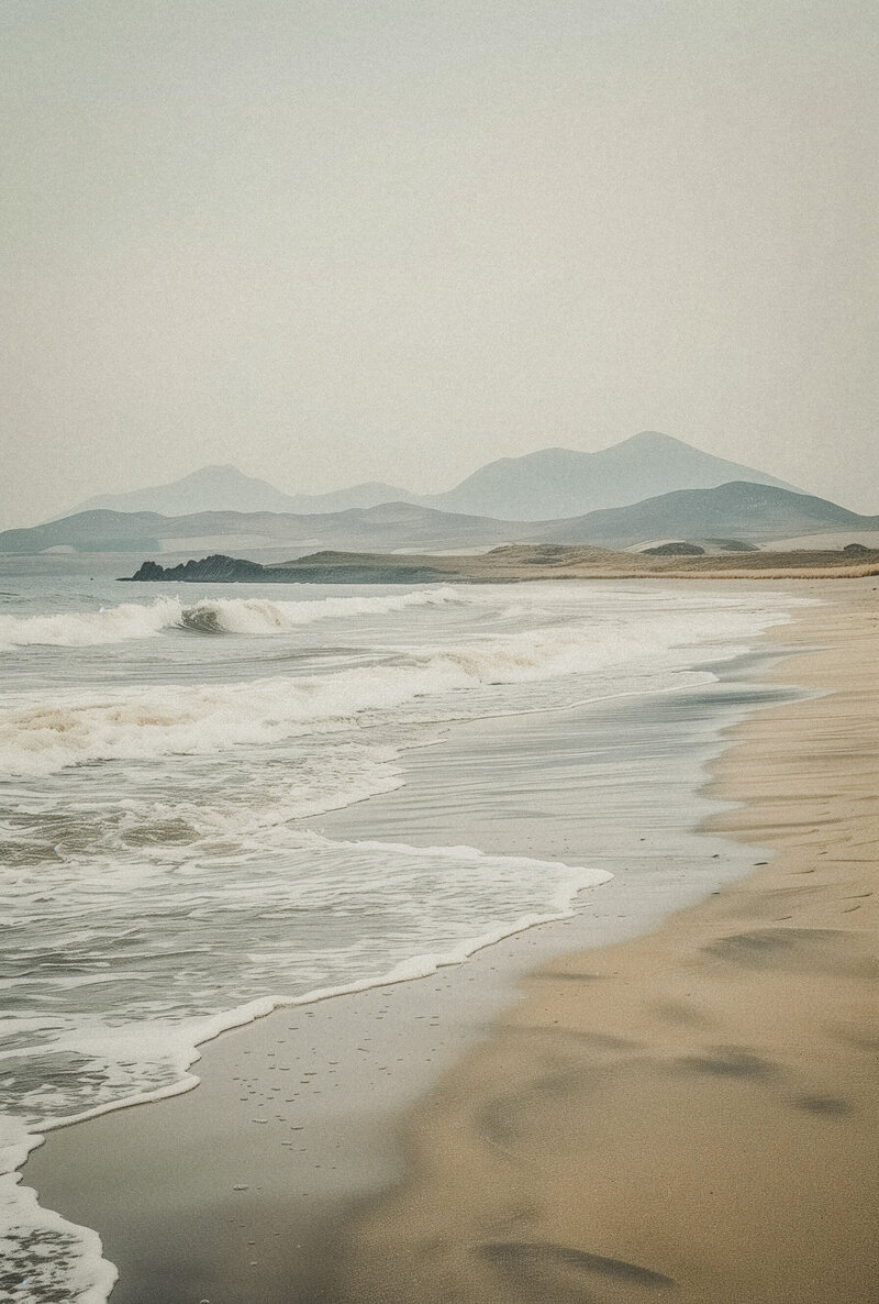 74afe0af-986f-47f8-8b1d-a8ed1e3aa544