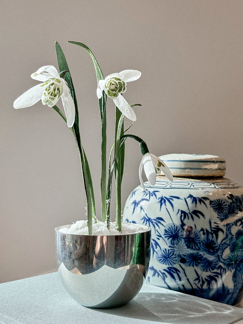 January birth flower snowdrops three bloom arrangement in paper