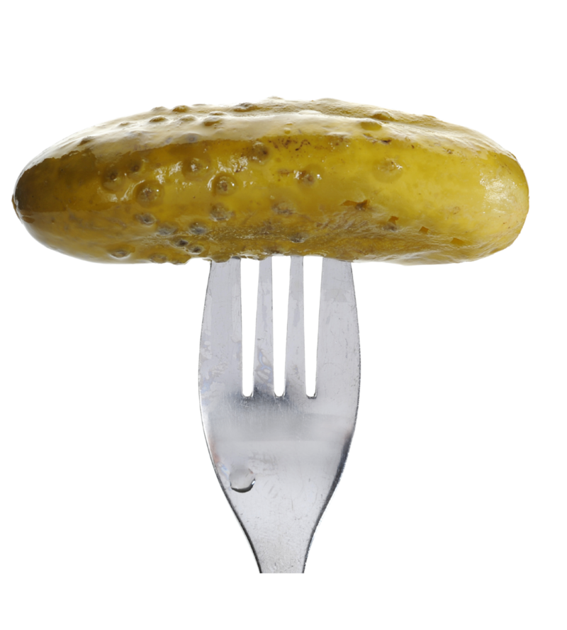 midwest pickle brining
