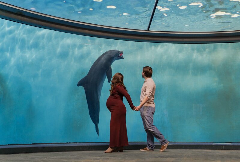 Couple holding hands as a dolphin swims past in the underwater viewing dome at the Indianapolis Zoo