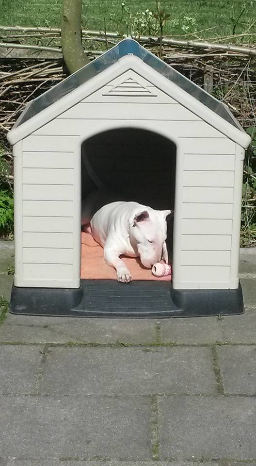 buiten-slapen