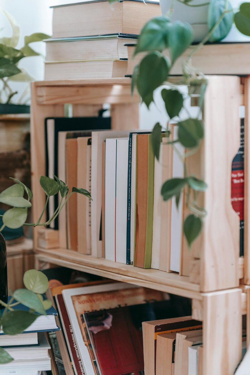Gros plan sur des livres posés sur une étagère avec les feuille d'une plante tombante posée au-dessus