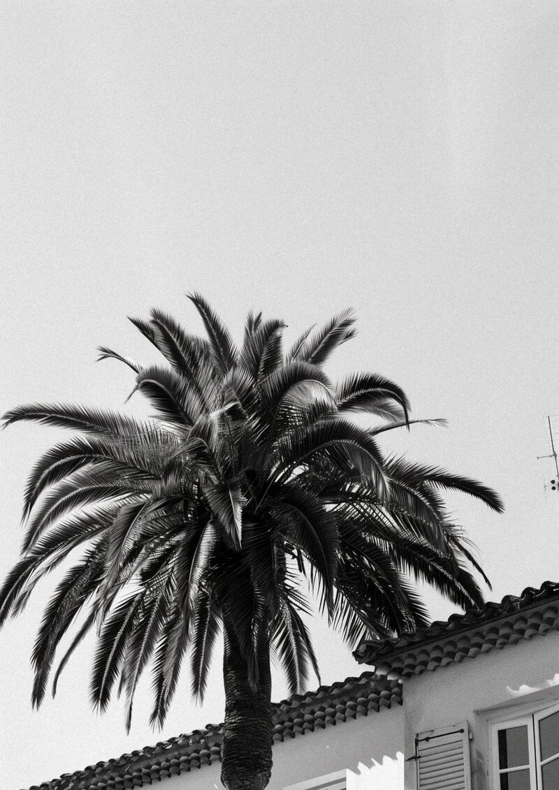 8fa2d54d-25ea-4ab9-b17a-654f2f2f7b8c