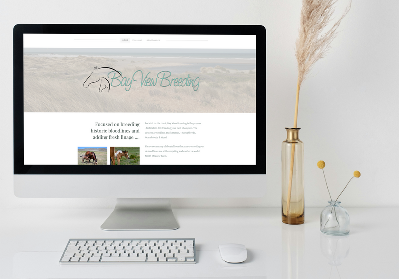 Sample image of a website previously designed by Hiliary Holbrook Studios