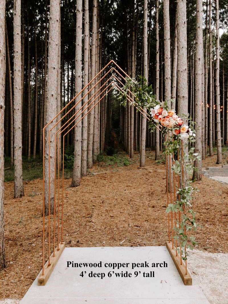 Pinewood Weddings and Events - Modern Wedding and Event Venue in Minnesota's Pine Forest - Arch Options - 2