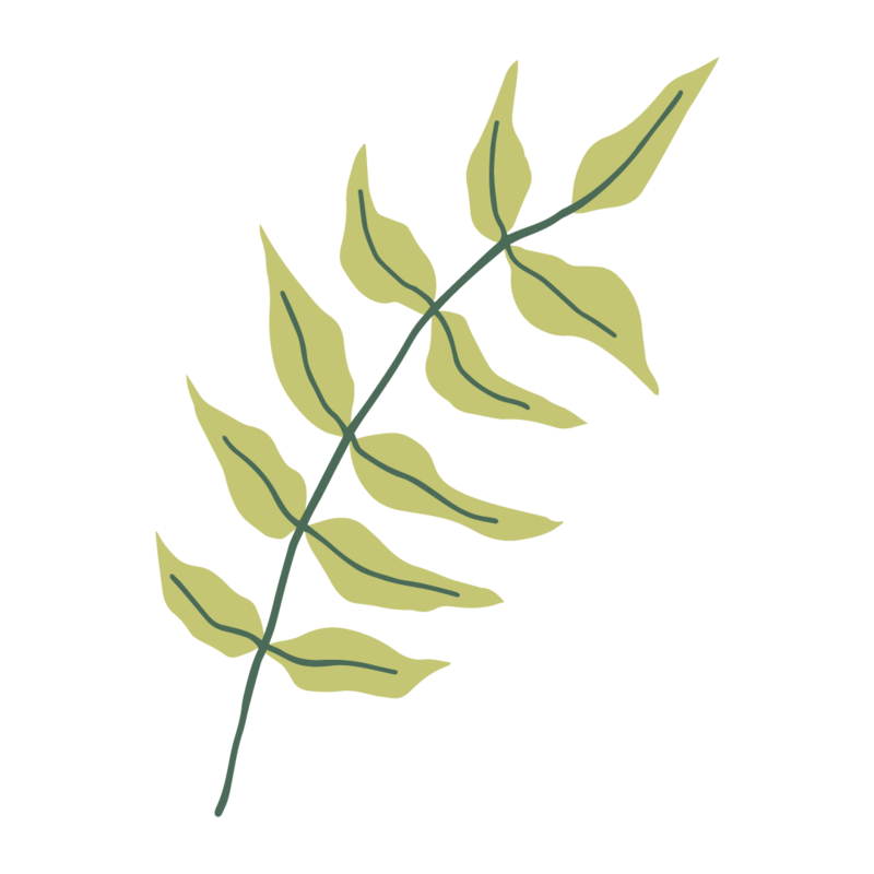 light green plant illustration