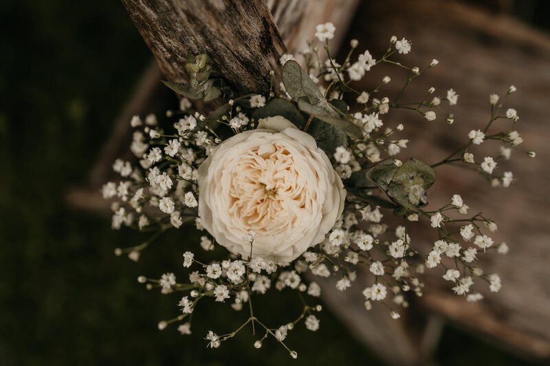 WhatsApp Image 2024-08-05 at 11.16.30 (2)