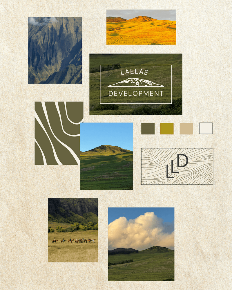 Custom professional branding and web design on laptop screen