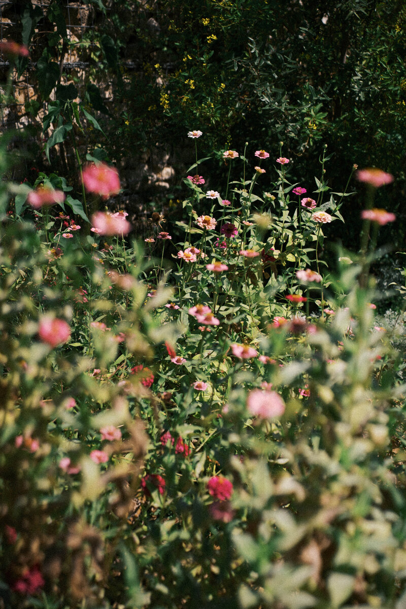 Julia + Taylor Wedding x LDMP2431