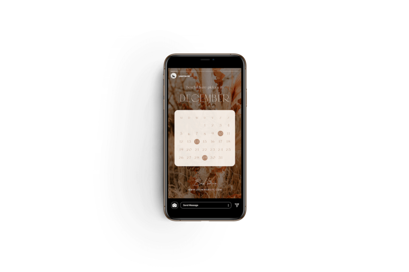 Boho Instagram story templates voor fotografen