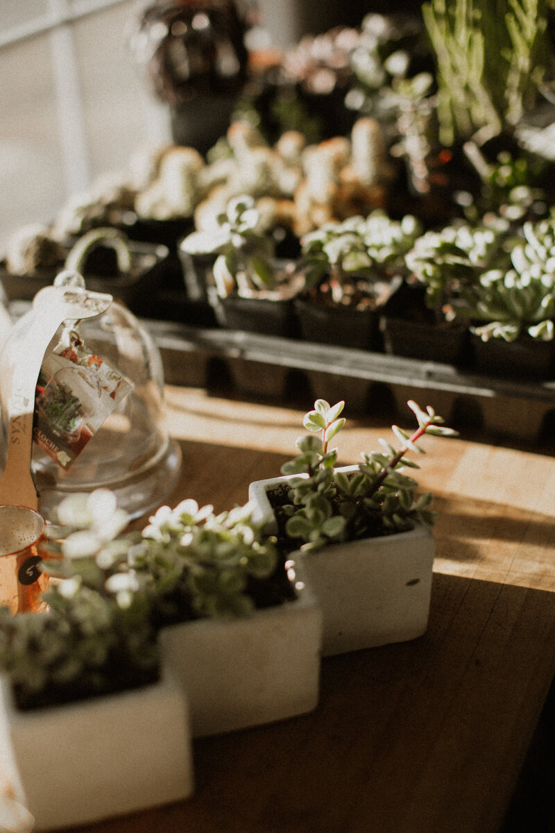 buena-vista-flower-shop-11