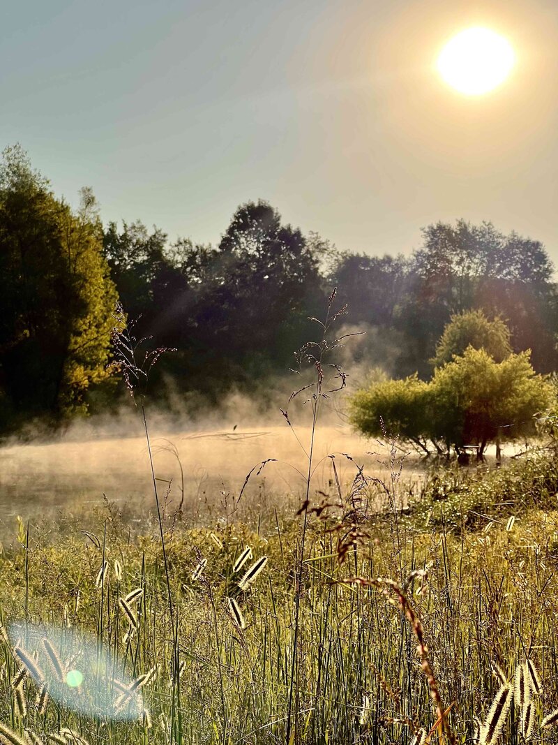 Mists of Avalon