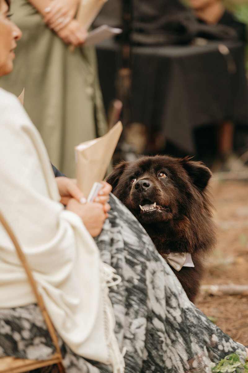 M+C_Wedding_1456