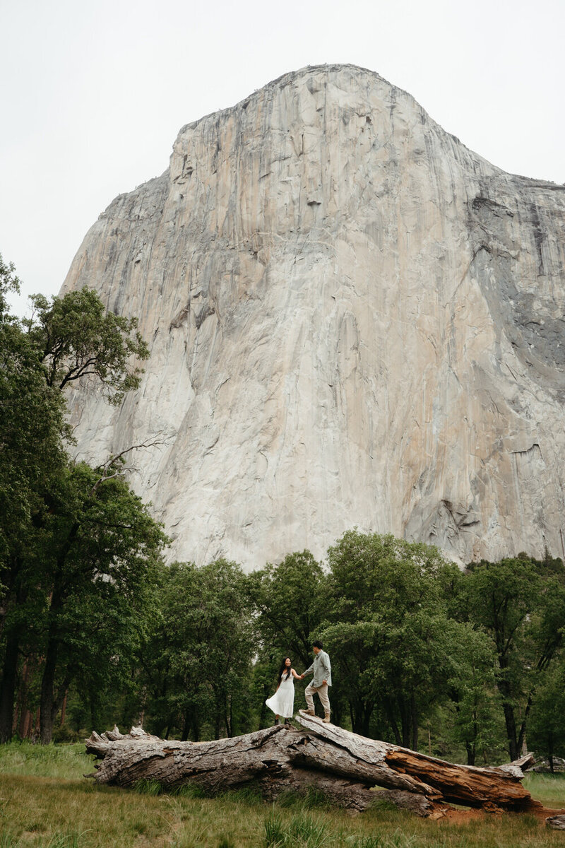 Couple holds hands standing on a log in a green meadow surrounded by cliffs, the perfect place for a Yosemite wedding