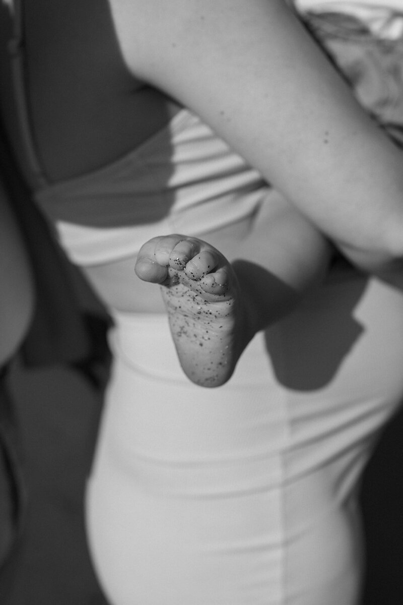 DSC02558-2
