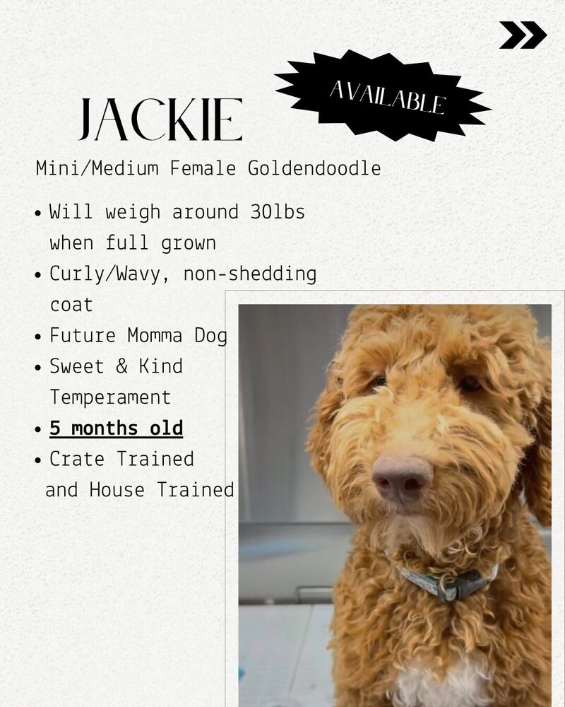 Guardian - 3rd page - Birdie