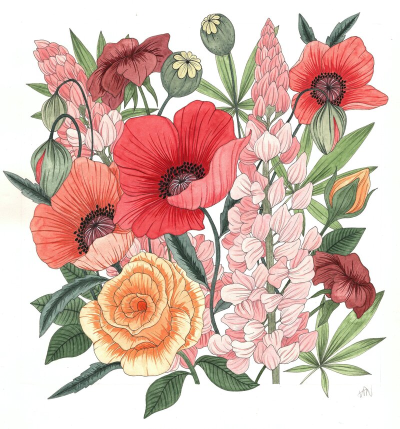 Poppy Floral