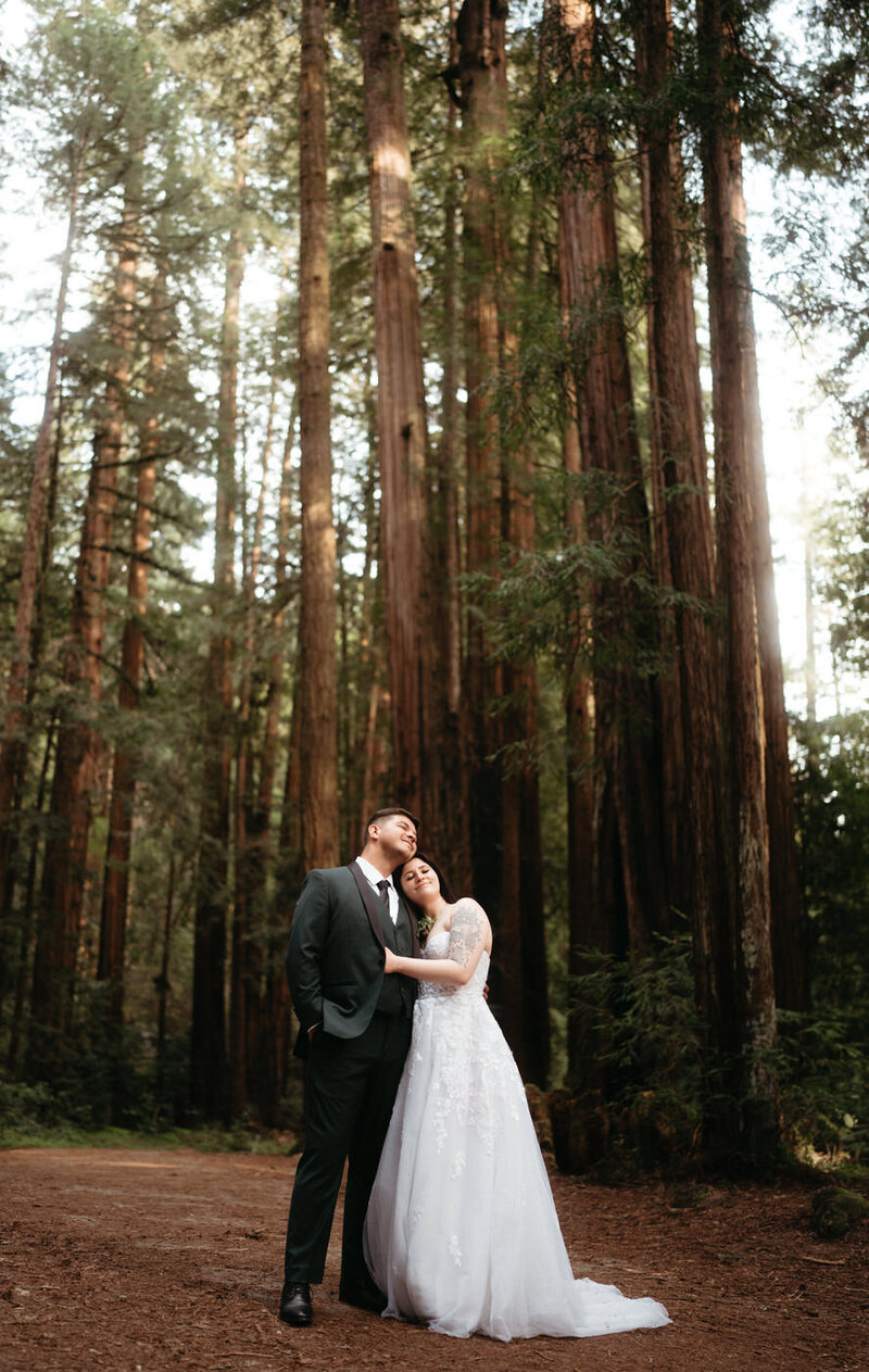 Wedding couple holds each other close and stares up at the giant redwood trees during their Henry Cowell Redwoods State Park Wedding 