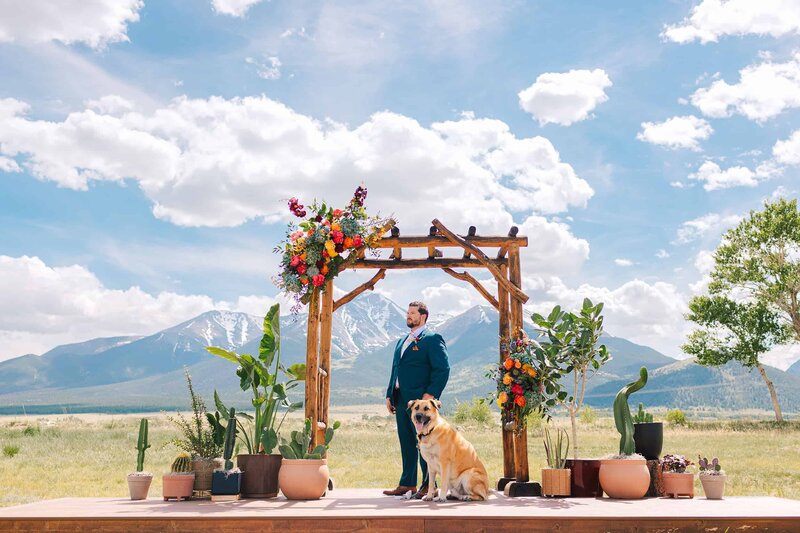 Colorful Wedding Photographer