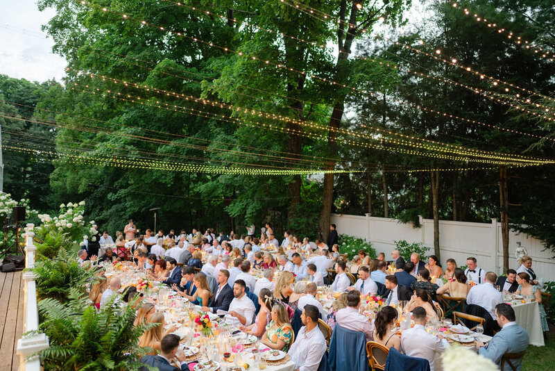 Scocca-Bee-63426-1447